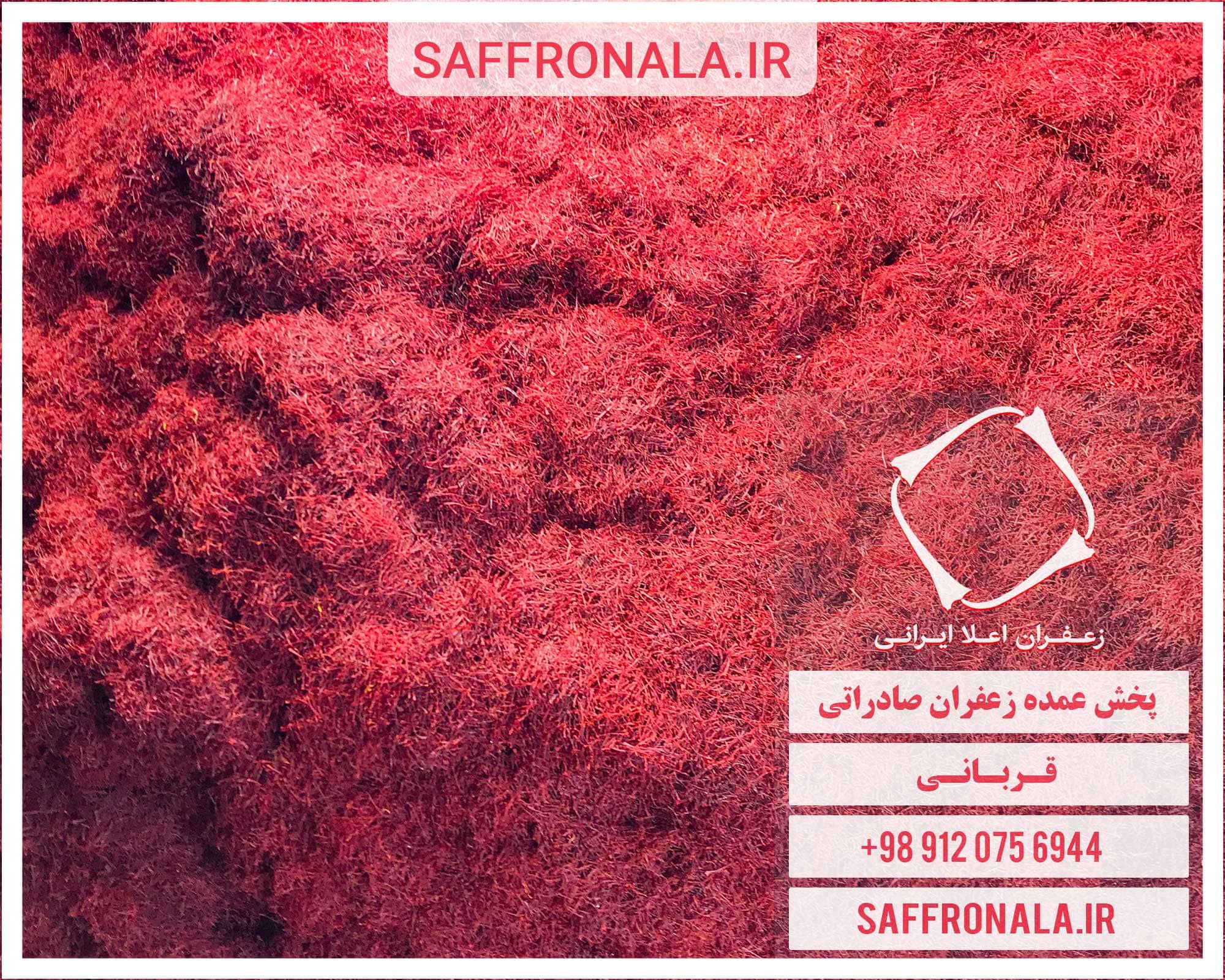 bulk export saffron01