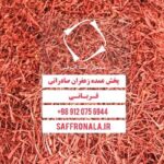 mashhad saffron price06
