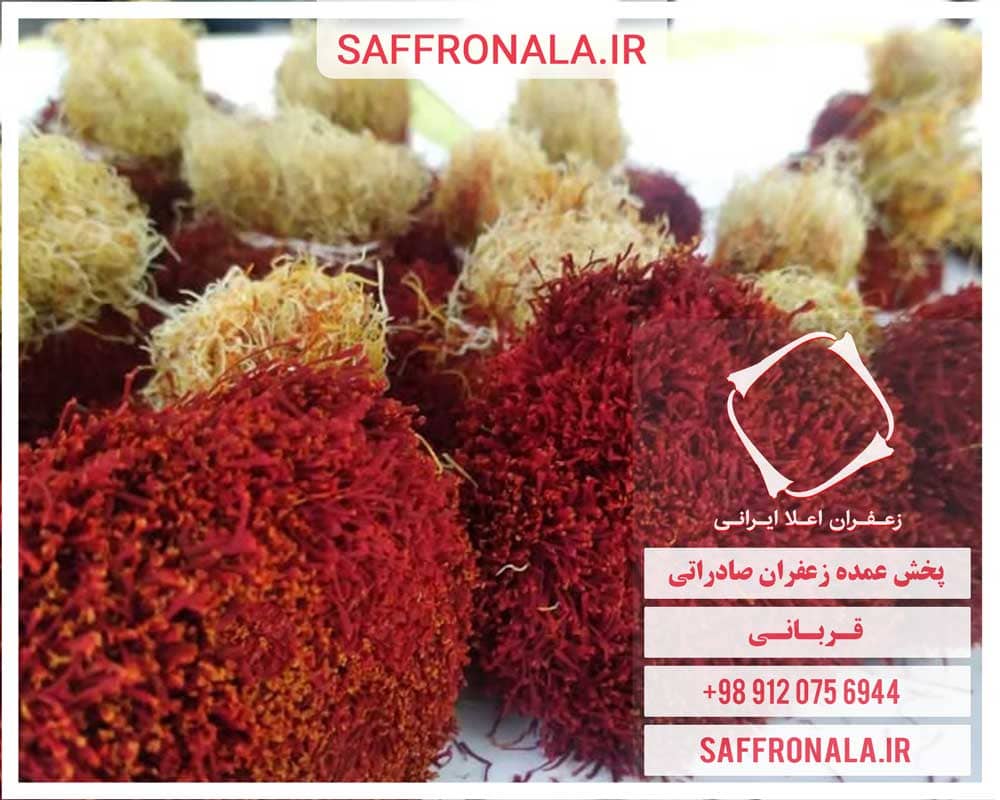 منطقه تولید زعفران دخترپیچ در ایران