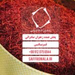 قیمت روز زعفران کیلویی در مشهد