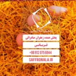 فروش کیلویی پرچم زردرنگ زعفران
